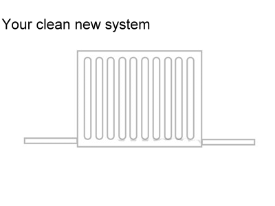 AM Dalton Plumbing Power Flush