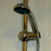 AM Dalton Plumbing Shower Head